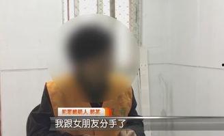 女性变男性视频,从女性视角探索男性世界