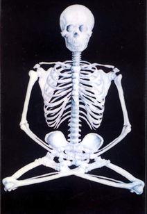 白骨观实修引导视频,揭秘身心净化之旅