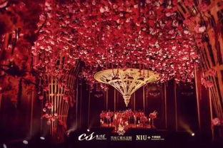 婚礼搭建视频,浪漫瞬间，一幕幕见证爱情盛宴