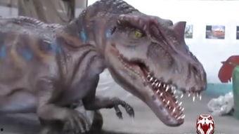 真恐龙的视频,穿越时空的史前巨兽之旅