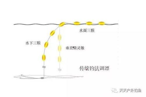 双钩调漂法视频