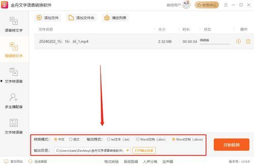 视频转文本,一窥全貌