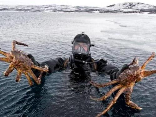 捕捞帝王蟹视频,惊心动魄的海洋捕猎之旅