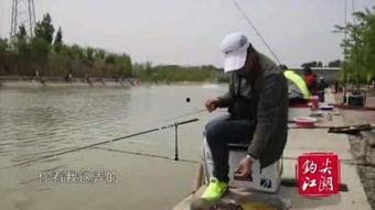 贾涛钓鱼视频,揭秘钓鱼高手独门技巧与自然风光
