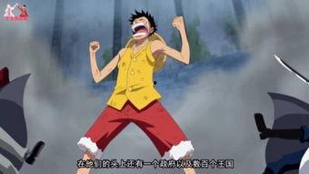 海贼王男变女视频,穿越时空的性别转换奇遇