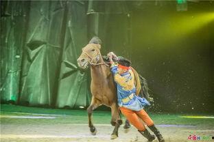 马视频表演